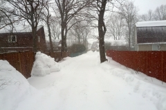 IMG_20130324_154646