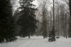 IMG_20130324_163150