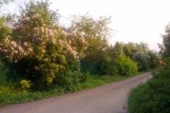 IMG_20140524_202141