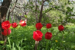 IMG_20190511_115041